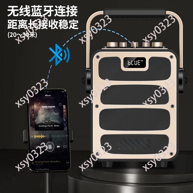 Leistungsstarker Tragbarer Blu – Audio Music Live Bewertung und Preis
