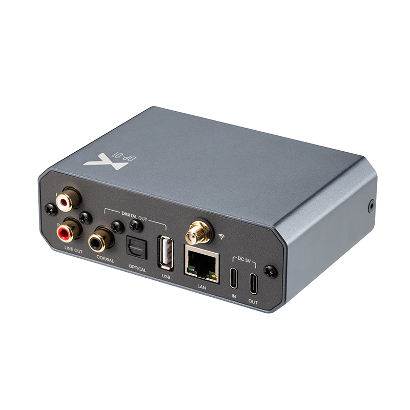 xDuoo DP-01 Verlustfreier Musi – Audio Without Music Bewertung und Preis